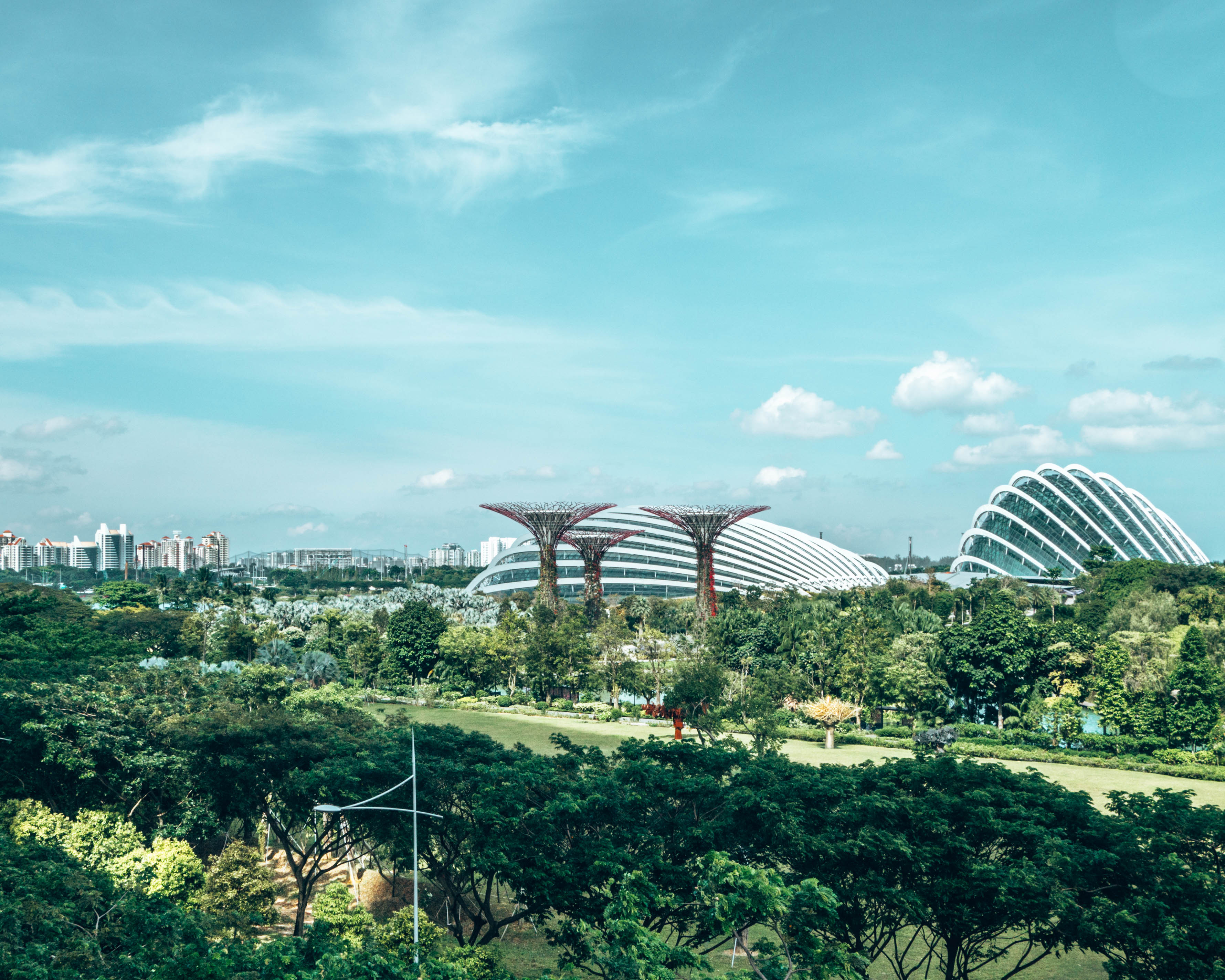 Singapore's Flower Dome and Cloud Forest in the Gardens by the bay - 3-day Singapore itinerary for budget travelers - WeDidItOurWay.com