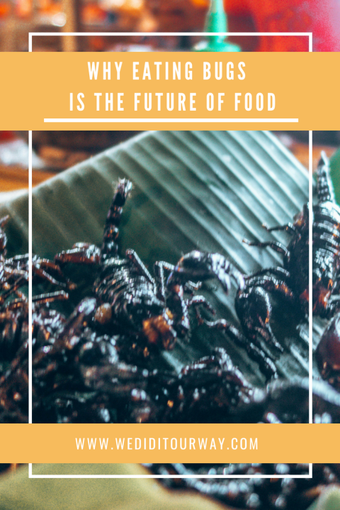 Why eating bugs is the future of food