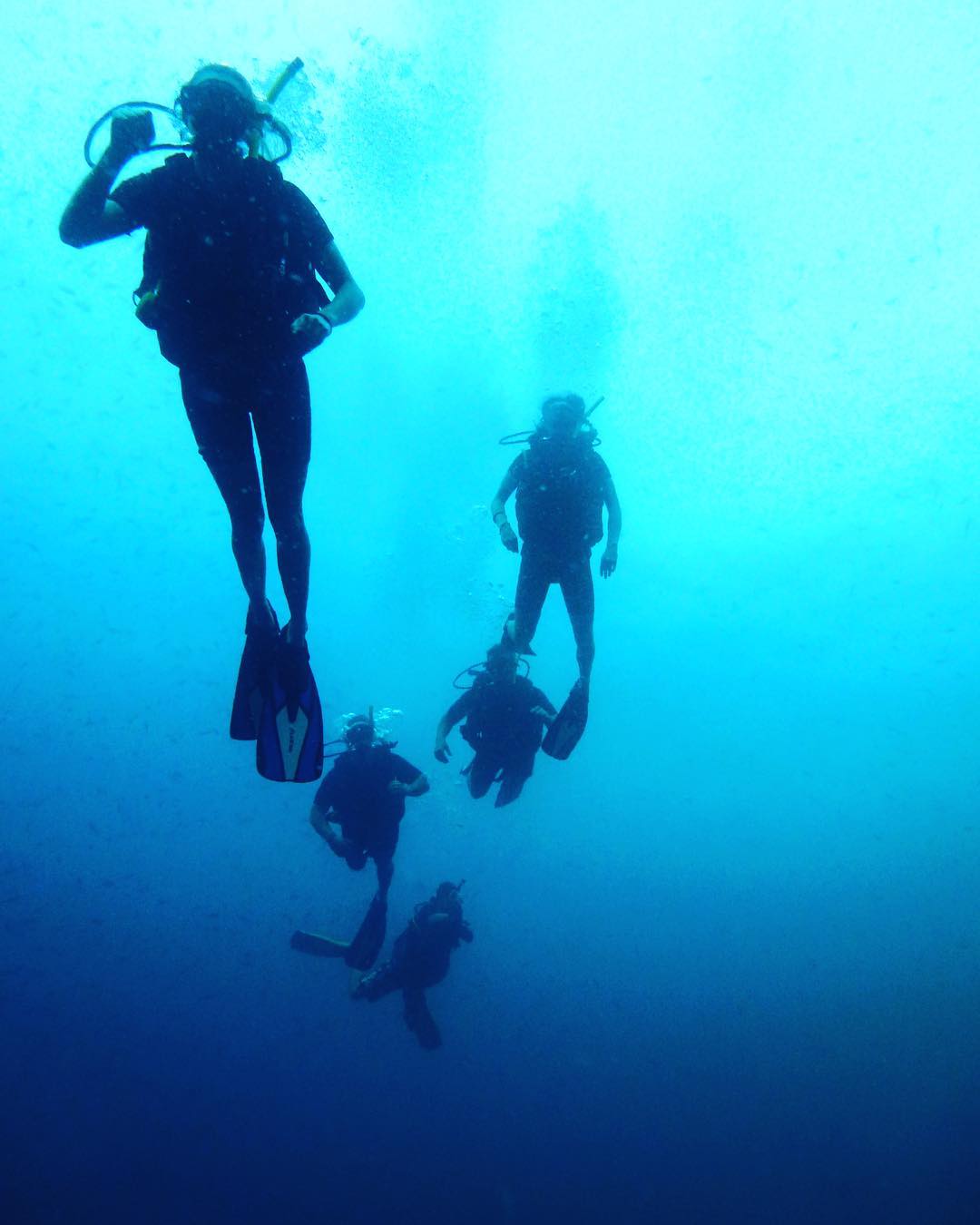 Scuba diving in Koh Tao
