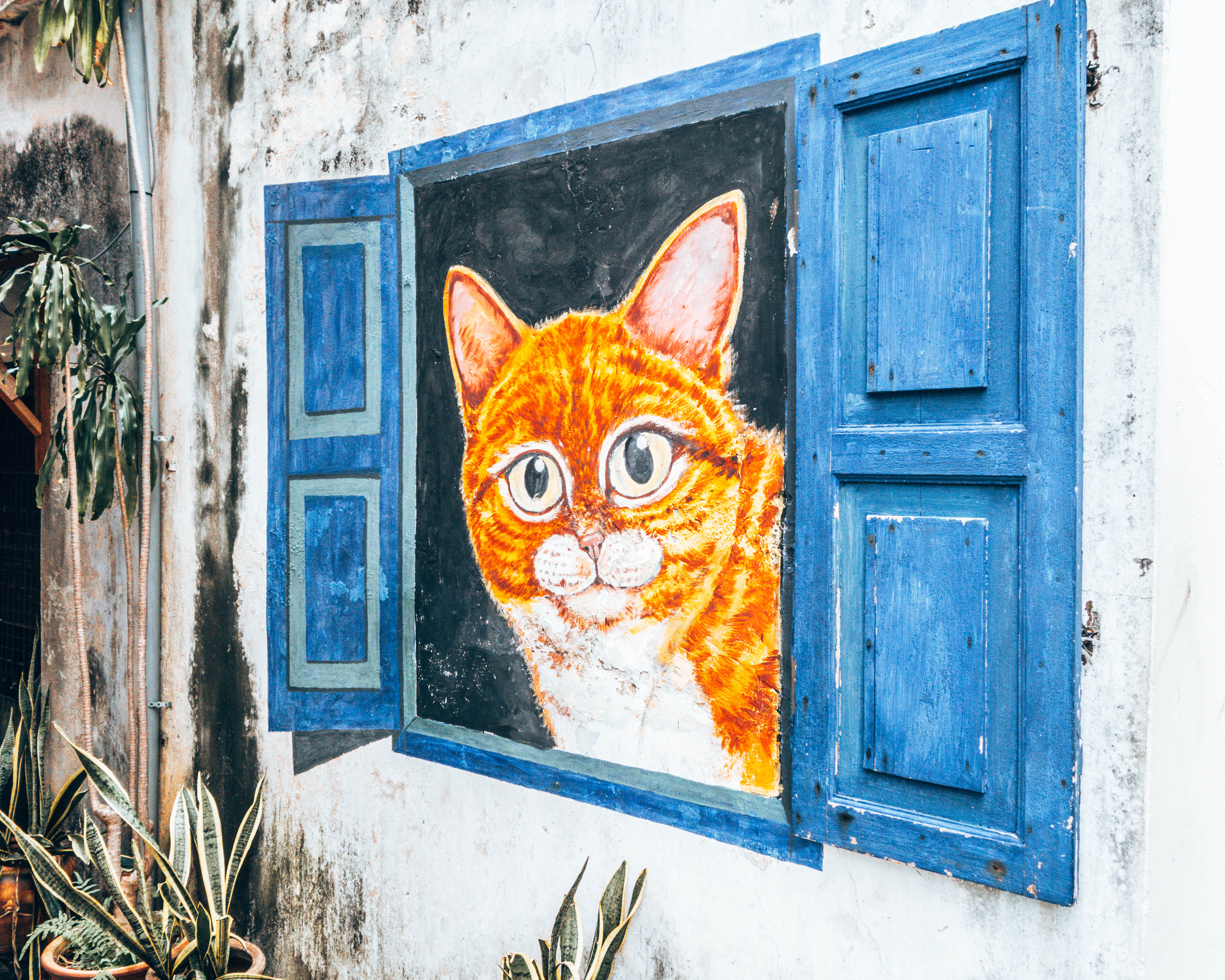 Artists for stray animals. Street art in Penang, Georgetown, Malaysia - Wediditourway.com