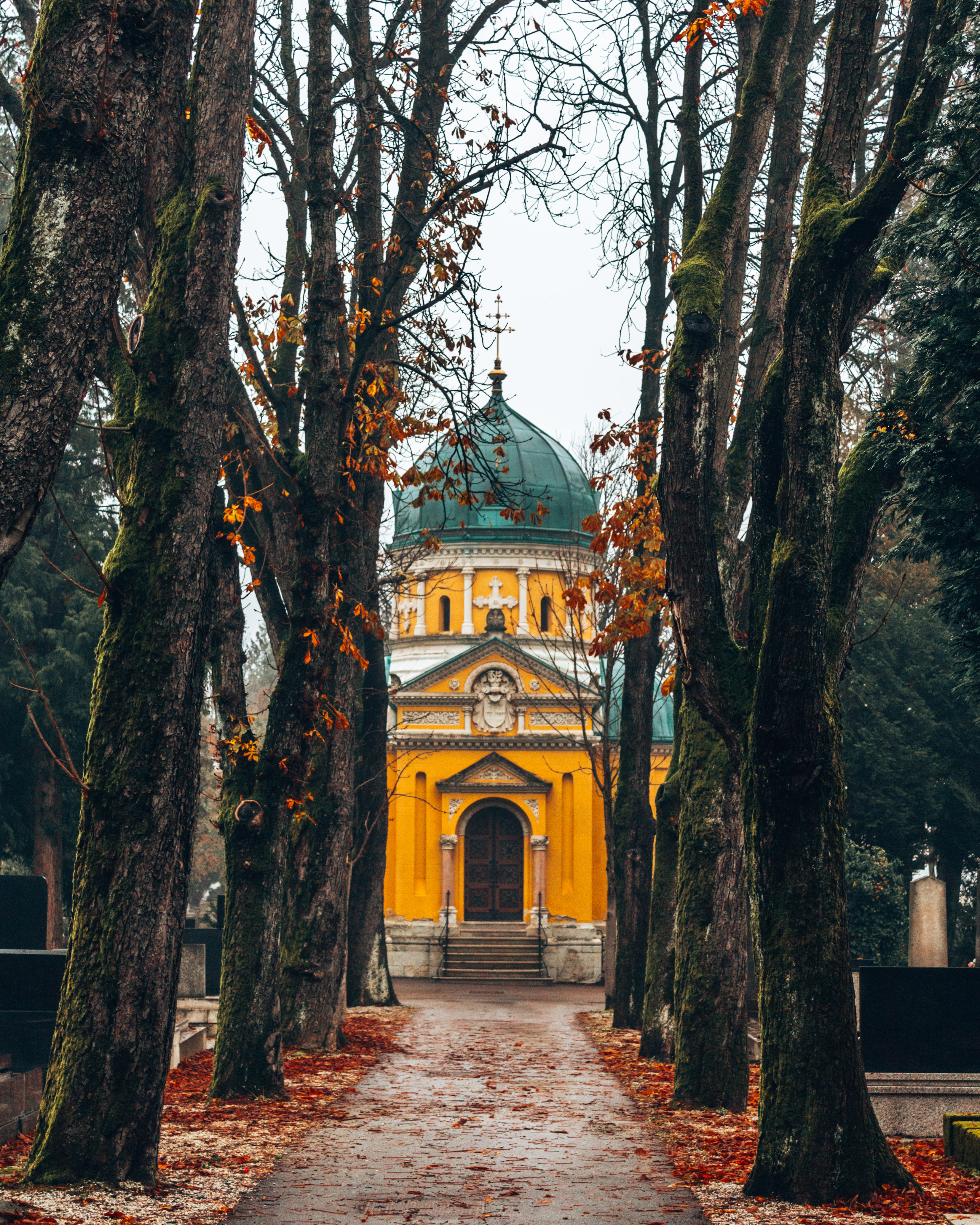A path covered by trees at the Mirogoj cemetery in Zagreb, Croatia